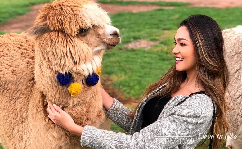 paquetes de viajes a peru