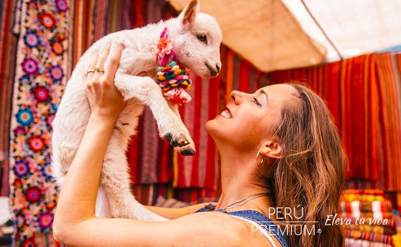 tours a peru desde mexico